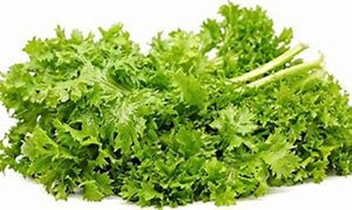 Mustard Green Seeds, Wasabi Mustard Green Seeds "COOL BEANS N SPROUTS" Brand. Home Gardening.