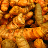 Turmeric Root , Whole fresh Turmeric Root . Fresh turmeric has a bright orangey/yellow color and earthy, warm flavor.