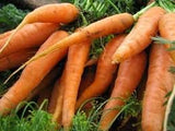 Carrot Seeds- Scarlet Nantes Carrot Seeds ,"COOL BEANS N SPROUTS" Brand. Home Gardening, - Cool Beans & Sprouts