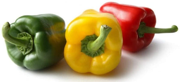 Pepper Seeds, California Wonder Bell Pepper Seeds,"COOL BEANS N SPROUTS" Brand. Heirloom. Non-GMO. Home Gardening. - Cool Beans & Sprouts