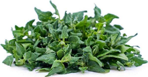 Spinach Seeds,  New Zealand Spinach Seeds,"COOL BEANS N SPROUTS" Brand. Heirloom. Non-GMO. Home Gardening. - Cool Beans & Sprouts
