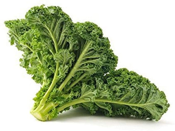 Kale Seeds  Vates Blue Curled Scotch Kale Seeds, "COOL BEANS N SPROUTS" Brand. Non-GMO. Home Gardening. - Cool Beans & Sprouts
