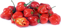 Pepper Seeds, Habanero Pepper Seeds,"COOL BEANS N SPROUTS" Brand. Heirloom. Non-GMO. Home Gardening. - Cool Beans & Sprouts