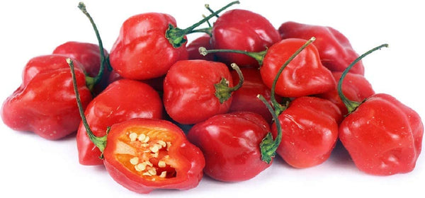 Pepper Seeds, Habanero Pepper Seeds,"COOL BEANS N SPROUTS" Brand. Heirloom. Non-GMO. Home Gardening. - Cool Beans & Sprouts