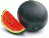 Watermelon Seeds, Sugar Baby Watermelon Seeds,"COOL BEANS N SPROUTS" Brand. Heirloom. Non-GMO. Home Gardening. - Cool Beans & Sprouts