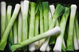 Leek Seeds,  American Flag Leek Seeds, "COOL BEANS N SPROUTS" Brand. Home Gardening. - Cool Beans & Sprouts