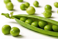 Pea Seeds,Early Alaska Pea Seeds,"COOL BEANS N SPROUTS" Brand. Heirloom. Non-GMO. Home Gardening. - Cool Beans & Sprouts