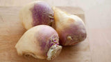 Rutabaga Seeds ,, Rutabaga Seeds, "COOL BEANS N SPROUTS" Brand. Heirloom. Non-GMO. Home Gardening. - Cool Beans & Sprouts