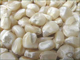 Corn Seed ,  Stowell's Evergreen Corn Seeds,"COOL BEANS N SPROUTS" Brand. Home Gardening. - Cool Beans & Sprouts