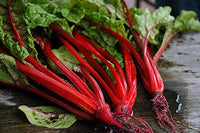 Swiss Chard Seeds, Ruby Red Swiss Chard Seeds,"COOL BEANS N SPROUTS" Brand. Heirloom. Non-GMO. Home Gardening. - Cool Beans & Sprouts