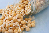 Garbanzo Bean Seeds for Sprouting Microgreens, A Rich Source of Vitamins and Minerals and Health-Promoting Nutrients! "COOL BEANS N SPROUTS" Brand, A Small Town Family Run USA Business - Cool Beans & Sprouts