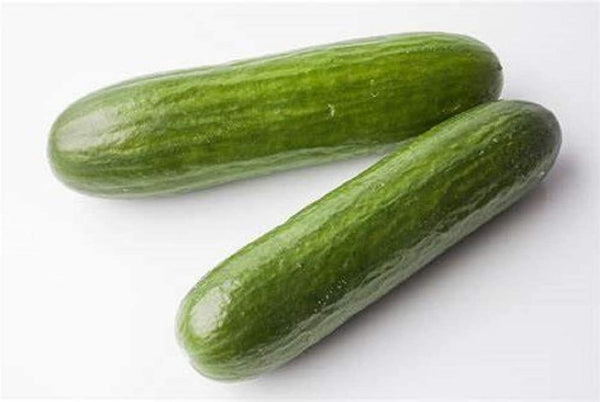 Cucumber Seeds, Straight Eight Cucumber Seeds, "COOL BEANS N SPROUTS" Brand. Non-GMO. Home Gardening. - Cool Beans & Sprouts
