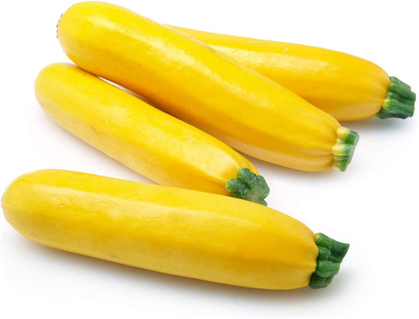 Zucchini Seeds ,  Golden Zucchini Squash Seeds,"COOL BEANS N SPROUTS" Brand. Heirloom. Non-GMO. Home Gardening. - Cool Beans & Sprouts