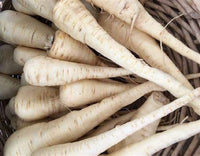 Parsnip Seeds,  All American Parsnip Seeds, "COOL BEANS N SPROUTS" Brand. Heirloom. Non-GMO. Home Gardening. - Cool Beans & Sprouts