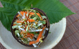 Fenugreek Seeds for Sprouting Microgreens, A Rich Source of Vitamins and Minerals and Health-Promoting Nutrients! "COOL BEANS N SPROUTS" Brand, A Small Town Family Run USA Business - Cool Beans & Sprouts