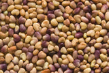Clover Seeds  Red Clover Seeds,  "COOL BEANS N SPROUTS" Brand. Home Gardening. - Cool Beans & Sprouts