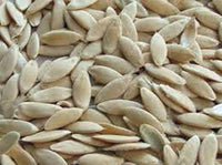 Cucumber Seeds , Long Green Improved Cucumber Seeds, Non-GMO ," COOL BEANS N SPROUTS" Brand by :Jacobs Ladder Ent. - Cool Beans & Sprouts