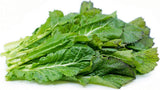 Mustard Green Seeds , Tendergreen Mustard Seeds, "COOL BEANS N SPROUTS" Brand - Cool Beans & Sprouts