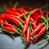 Pepper Seeds, Thai Pepper Seeds,"COOL BEANS N SPROUTS" Brand. Home Gardening. - Cool Beans & Sprouts