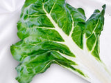 Swiss Chard Seeds,  White Ribbed Swiss Chard Seeds,"COOL BEANS N SPROUTS" Brand. Heirloom. Non-GMO. Home Gardening. - Cool Beans & Sprouts
