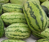 Watermelon Seeds, Jubilee Watermelon Seeds,"COOL BEANS N SPROUTS" Brand. Heirloom. Non-GMO. Home Gardening. - Cool Beans & Sprouts