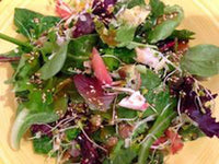Lettuce, Red Leaf Romaine Lettuce Seeds, COOL BEAND N SPROUTS BRAND, Non-GMO, Healthy Hearty, A Great addition to Any Salad. - Cool Beans & Sprouts