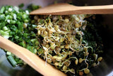 Green Lentil Seeds for Sprouting Microgreens, A Rich Source of Vitamins and Minerals and Health-Promoting Nutrients! "COOL BEANS N SPROUTS" Brand, A Small Town Family Run USA Business. - Cool Beans & Sprouts