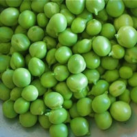 Pea Seeds,Early Alaska Pea Seeds,"COOL BEANS N SPROUTS" Brand. Heirloom. Non-GMO. Home Gardening. - Cool Beans & Sprouts