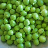 Pea Seeds,Early Alaska Pea Seeds,"COOL BEANS N SPROUTS" Brand. Heirloom. Non-GMO. Home Gardening. - Cool Beans & Sprouts
