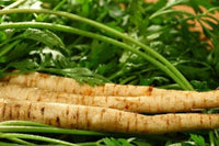 Harris Model Parsnip Seeds,"COOL BEANS N SPROUTS" Brand. Heirloom. Non-GMO. Home Gardening. - Cool Beans & Sprouts