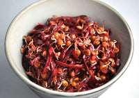 Red Lentil Seeds for Sprouting Microgreens, A Rich Source of Vitamins and Minerals and Health-Promoting Nutrients! "COOL BEANS N SPROUTS" Brand, A Small Town Family Run USA Business. - Cool Beans & Sprouts