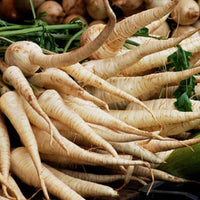 Harris Model Parsnip Seeds,"COOL BEANS N SPROUTS" Brand. Heirloom. Non-GMO. Home Gardening. - Cool Beans & Sprouts