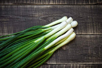Onion Seeds, Tokyo Long White Bunching Onion Seeds, "COOL BEANS N SPROUTS" Brand. Home Gardening. - Cool Beans & Sprouts