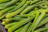 Okra Seeds ,  Perkins Long Pod Okra Seeds, "COOL BEANS N SPROUTS" Brand. Heirloom. Non-GMO. Home Gardening. - Cool Beans & Sprouts