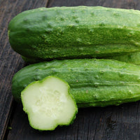 Cucumber Seeds- National Pickling Cucumber Seeds ,"COOL BEANS N SPROUTS" Brand. Home Gardening. - Cool Beans & Sprouts