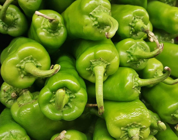Pepper Seeds, Anaheim Pepper Seeds,"COOL BEANS N SPROUTS" Brand. Home Gardening. - Cool Beans & Sprouts