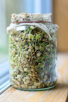 Green Lentil Seeds for Sprouting Microgreens, A Rich Source of Vitamins and Minerals and Health-Promoting Nutrients! "COOL BEANS N SPROUTS" Brand, A Small Town Family Run USA Business. - Cool Beans & Sprouts