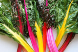 Swiss Chard Seeds,  Rainbow Swiss Chard Seeds,"COOL BEANS N SPROUTS" Brand. Heirloom. Non-GMO. Home Gardening. - Cool Beans & Sprouts