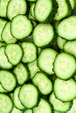 Cucumber Seed , Marketer Cucumber Seeds,"COOL BEANS N SPROUTS" Brand. Home Gardening. - Cool Beans & Sprouts