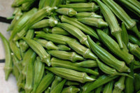 Okra Seeds, Clemson Spineless Okra Seeds, "COOL BEANS N SPROUTS" Brand. Heirloom. Non-GMO. Home Gardening. - Cool Beans & Sprouts