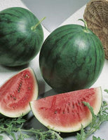 Watermelon Seeds, Sugar Baby Watermelon Seeds,"COOL BEANS N SPROUTS" Brand. Heirloom. Non-GMO. Home Gardening. - Cool Beans & Sprouts