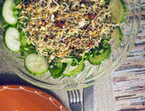 Green Lentil Seeds for Sprouting Microgreens, A Rich Source of Vitamins and Minerals and Health-Promoting Nutrients! "COOL BEANS N SPROUTS" Brand, A Small Town Family Run USA Business. - Cool Beans & Sprouts