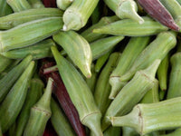 Okra Seeds, Clemson Spineless Okra Seeds, "COOL BEANS N SPROUTS" Brand. Heirloom. Non-GMO. Home Gardening. - Cool Beans & Sprouts