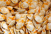 Pumpkin Seeds , Mammoth Gold Pumpkin Seeds, "COOL BEANS N SPROUTS" Brand. Heirloom. Non-GMO. Home Gardening. - Cool Beans & Sprouts