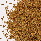 Cumin Spice Seeds ,"COOL BEANS N SPROUTS" Brand. Home Gardening. - Cool Beans & Sprouts