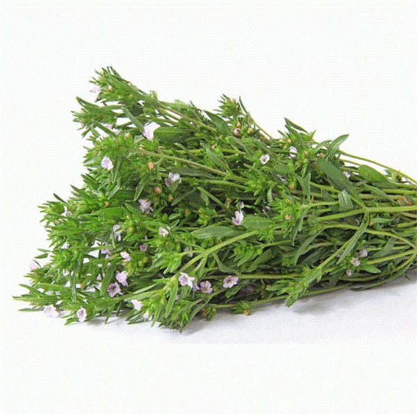 Summer Savory Spice Seeds, "COOL BEANS N SPROUTS" Brand. Herb. Non-GMO. Home Gardening. - Cool Beans & Sprouts