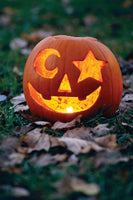 Pumpkin Seeds, Jack-O-Lantern Pumpkin Seeds,"COOL BEANS N SPROUTS" Brand. Heirloom. Non-GMO. Home Gardening. - Cool Beans & Sprouts