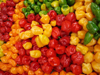 Pepper Seeds, Habanero Pepper Seeds,"COOL BEANS N SPROUTS" Brand. Heirloom. Non-GMO. Home Gardening. - Cool Beans & Sprouts