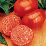 Tomato Seeds,  Red Ponderosa Tomato Seeds,"COOL BEANS N SPROUTS" Brand. Heirloom. Non-GMO. Home Gardening. - Cool Beans & Sprouts
