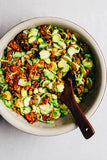 Red Lentil Seeds for Sprouting Microgreens, A Rich Source of Vitamins and Minerals and Health-Promoting Nutrients! "COOL BEANS N SPROUTS" Brand, A Small Town Family Run USA Business. - Cool Beans & Sprouts